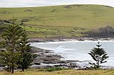 IMG_1164