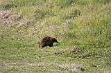 IMG_1179