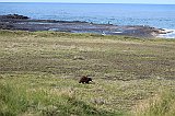 IMG_1190