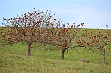 IMG_1204