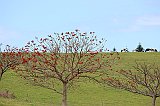 IMG_1205