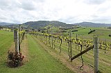 IMG_1218