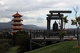 IMG_1264