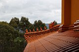 IMG_1278