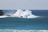IMG_1416