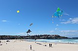 IMG_1490