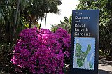 IMG_1531