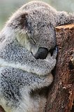 IMG_1638