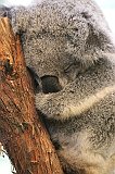 IMG_1660