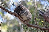 IMG_1692