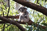 IMG_1713
