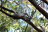 IMG_1725