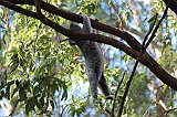 IMG_1732