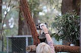 IMG_1777