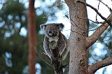 IMG_1783