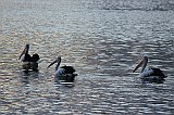 IMG_1829