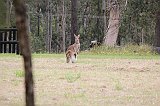 IMG_1869