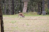 IMG_1876