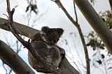 IMG_1888