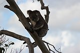 IMG_1892