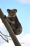 IMG_1898