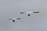 IMG_1984