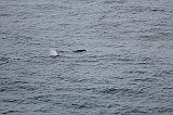 IMG_2019