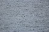 IMG_2063