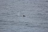 IMG_2066