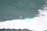 IMG_2101
