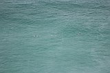 IMG_2110