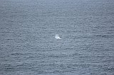 IMG_2137