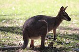 IMG_2230