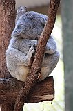 IMG_2240