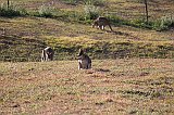 IMG_2324