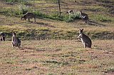 IMG_2328