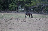 IMG_2334