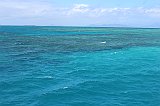 IMG_2394