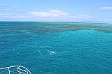 IMG_2409