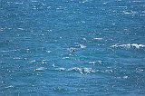IMG_2426