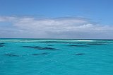 IMG_2457