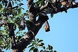 IMG_2494