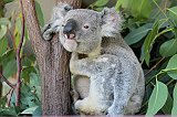 IMG_2578