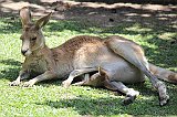 IMG_2591