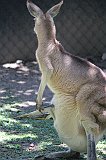 IMG_2601