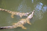 IMG_2606