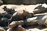 IMG_2628
