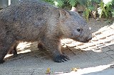 IMG_2632