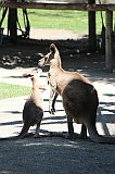 IMG_2637