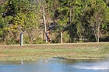 IMG_2730